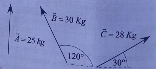 vector C=28Kg
30°