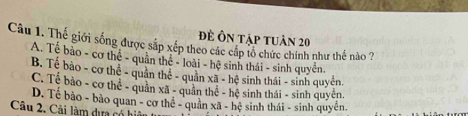 Đề Ôn tập tuần 20
Câu 1. Thế giới sống được sắp xếp theo các cấp tổ chức chính như thể nào 7
A. Tế bảo - cơ thể - quân thể - loài - hệ sinh thái - sinh quyền.
B. Tế bào - cơ thể - quân thể - quân xã - hệ sinh thái - sinh quyền.
C. Tế bào - cơ thê - quân xã - quân thể - hệ sinh thái - sinh quyền.
D. Tế bào - bào quan - cơ thể - quân xã - hệ sinh thái - sinh quyền.
Câu 2. Cải làm dựa có hiệu