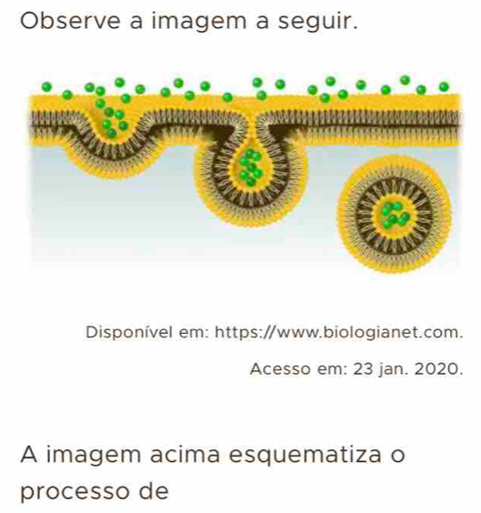 Observe a imagem a seguir. 
Disponível em: https:/www.biologianet.com. 
Acesso em: 23 jan. 2020. 
A imagem acima esquematiza o 
processo de