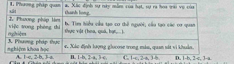 Câu 4 Gháp nội du