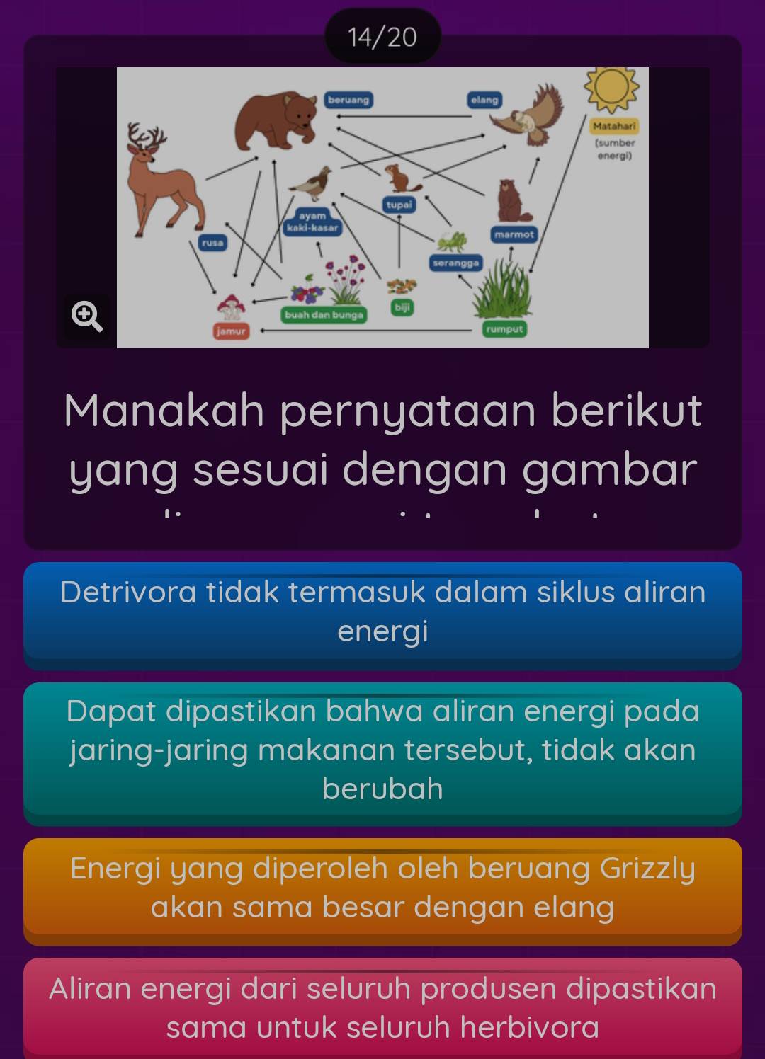 14/20
Manakah pernyataan berikut
yang sesuai dengan gambar
Detrivora tidak termasuk dalam siklus aliran
energi
Dapat dipastikan bahwa aliran energi pada
jaring-jaring makanan tersebut, tidak akan
berubah
Energi yang diperoleh oleh beruang Grizzly
akan sama besar dengan elang
Aliran energi dari seluruh produsen dipastikan
sama untuk seluruh herbivora