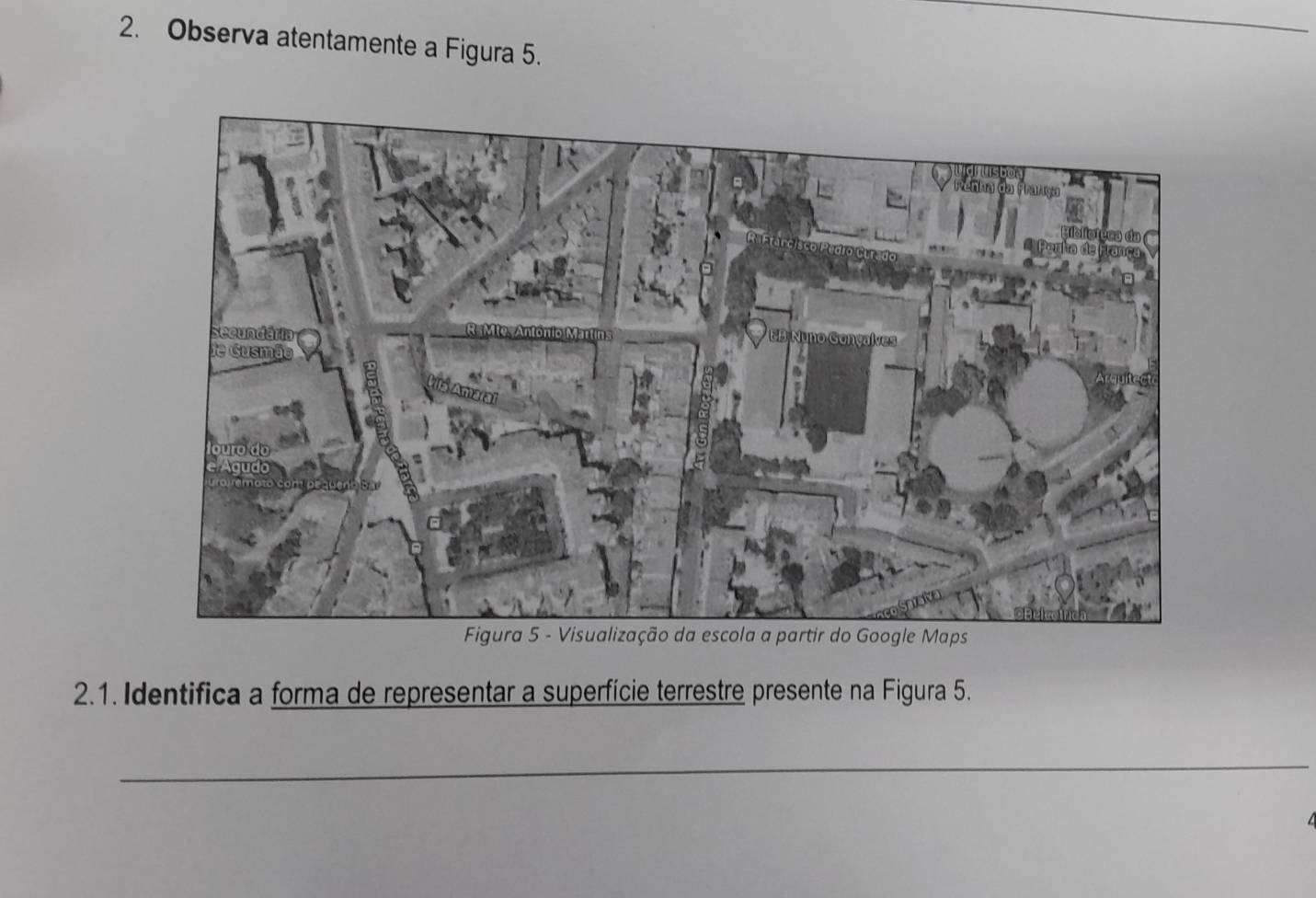 Observa atentamente a Figura 5. 
2.1. Identifica a forma de representar a superfície terrestre presente na Figura 5. 
_