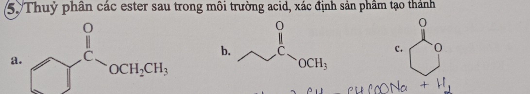 Thuỷ phần các ester sau trong môi trường acid, xác định sản phầm tạo thành
a _ ^0(_ )°CH_H_2CH_3 b
0
c.