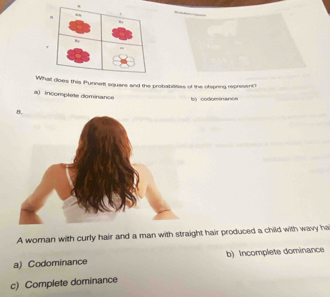 Wahest) (uiar
Whdoes this Punnett square and the probabilities of the ofspring represent?
a) incomplete dominance
b) codominance
A woman with curly hair and a man with straight hair produced a child with wavy ha
a) Codominance b) Incomplete dominance
c) Complete dominance