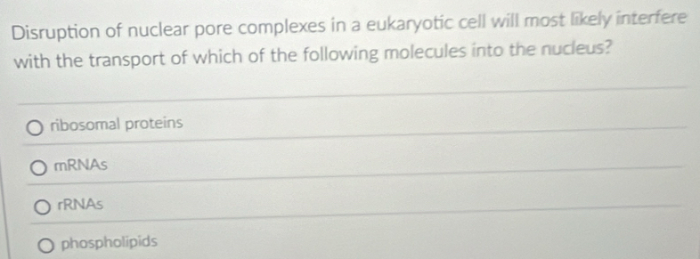 Disruption of nuclear pore complexes in a eukaryotic cell will most likely interfere
with the transport of which of the following molecules into the nucleus?
ribosomal proteins
mRNAs
rRNAs
phospholipids