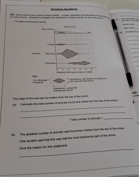 Sampling Questions 
Q1. Rocky shores are a type of coastal habital. Limpets, barnacles and periwinkles are snimas 
on rocky shores. Students investigated the distribution of these animals on one rocky shore Gvé Gné atvotis fac anm als on the s 
(c) 
The figure shows their results Abolic faço 
_ 
Biotic factor_ 
(d) Describe the m 
_ 
_ 
_ 
_ 
5 squares 10 individuals=ond 
the more an mais found 
Distribution: where the animals are found 
Q2. 
The edge of the sea was six meters from the top of the shore 
_ 
(a) Calculate the total number of animals found one metre from the top of the shore. mea 
_ 
Total number of animals=_ 
(b) The greatest number of animals was found two metres from the top of the shore. 
One student said that this was not the most biodiverse part of the shore. 
_ 
Give the reason for this statement.