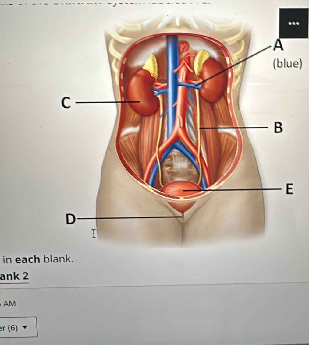 in each b
ank 2 
AM 
r (6)