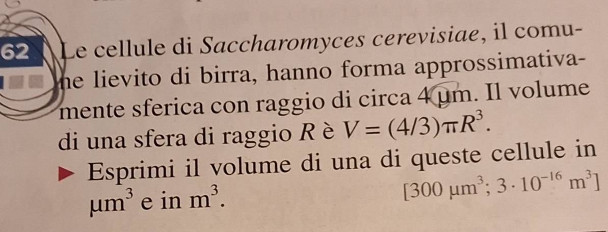 Risolto:Le cellule di Saccharomyces cerevisiae, il comu- he lievito di ...