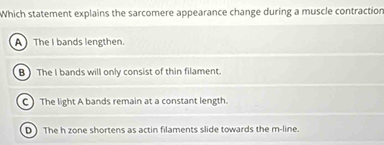 Which statement explains the sarcomere appearance change during a muscle contraction
A The I bands lengthen.
B The I bands will only consist of thin filament.
C The light A bands remain at a constant length.
D) The h zone shortens as actin filaments slide towards the m -line.