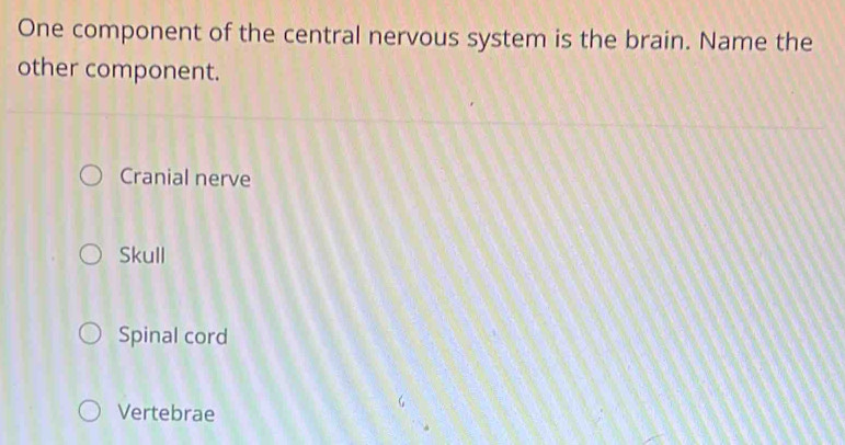 One component of the central nervous system is the brain. Name the
other component.
Cranial nerve
Skull
Spinal cord
Vertebrae