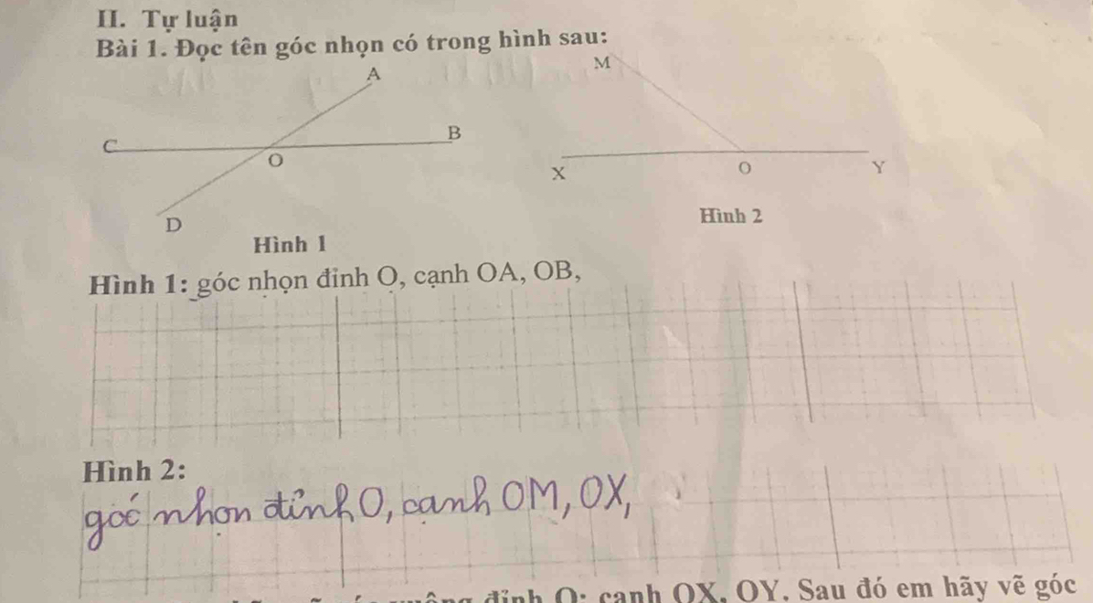 Tự luận 
Bài 1. Đọc tên góc nhọn có trong hình sau:
M
_
X
O
Y
Hình 2
Hình 1: góc nhọn đinh O, cạnh OA, OB, 
Hình 2: 
O: canh OX, OY. Sau đó em hãy vẽ góc