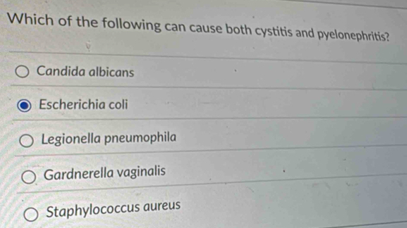 Which of the following can cause both cystitis and pyelonephritis?
Candida albicans
Escherichia coli
Legionella pneumophila
Gardnerella vaginalis
Staphylococcus aureus