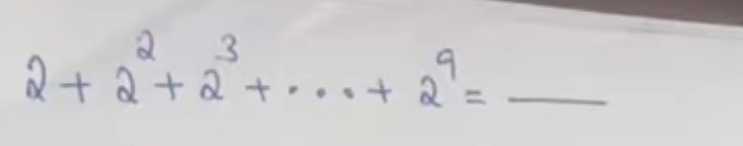 2+2^2+2^3+...+2^9=_ 