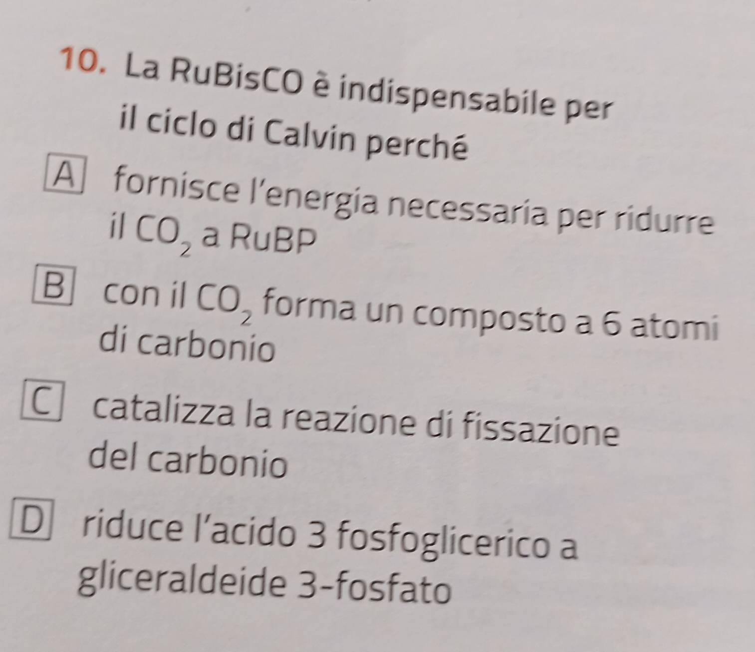 La RuBisCO è indispensabile per
il ciclo di Calvin perché
A fornisce l'energia necessaria per ridurre
il CO_2 a R∪ B P
B con il CO_2 forma un composto a 6 atomi
di carbonio
C catalizza la reazione di fissazione
del carbonio
D riduce l’acido 3 fosfoglicerico a
gliceraldeide 3 -fosfato