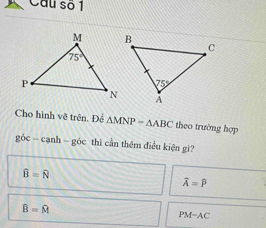 Câu số 1
Cho hình vẽ trên. Để △ MNP=△ ABC theo trường hợp
góc - cạnh - góc thì cần thêm điều kiện gì?
widehat B=widehat N
widehat A=widehat P
widehat B=widehat M
PM=AC