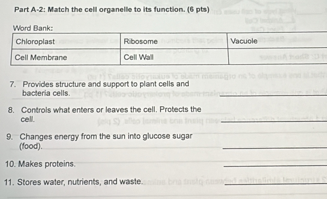 Part A-2: Match the cell organelle to its function. (6 pts) 
7. Provides structure and support to plant cells and 
bacteria cells. 
_ 
8. Controls what enters or leaves the cell. Protects the 
cell. 
_ 
9. Changes energy from the sun into glucose sugar 
(food). 
_ 
10. Makes proteins. 
_ 
11. Stores water, nutrients, and waste._