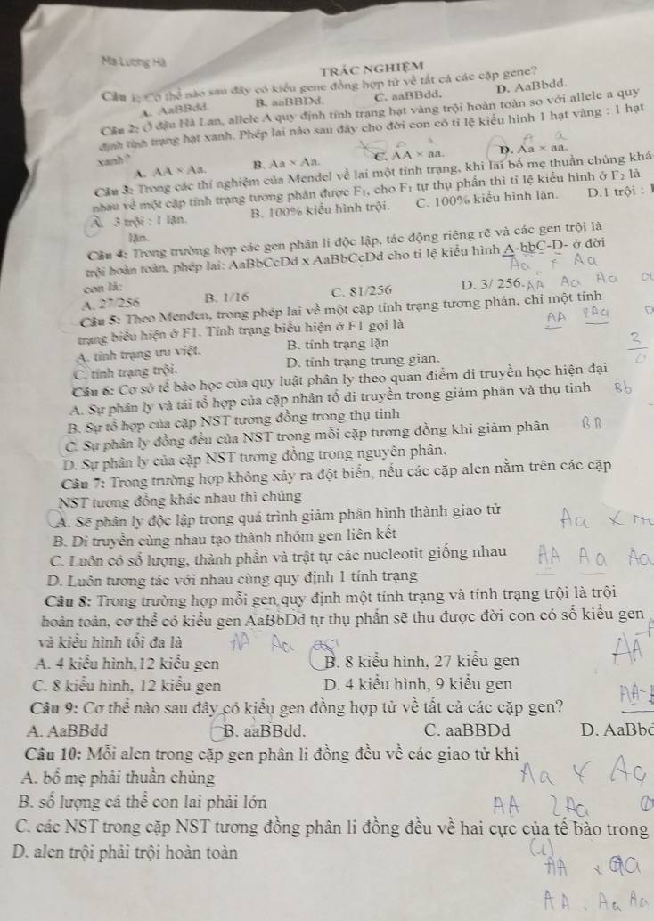 Ms Lương Hà
trác nghiệm
Cầu 1; Cơ thể nào sau đây có kiểu gene đồng hợp tử về tắt cá các cặp gene?
A. AaBBdd. B. aaBBDd. C. aaBBdd. D. AaBbdd.
Câu 2: Ở đầu Hà Lan, allele A quy định tính trạng hạt vàng trội hoàn toàn so với allele a quy
định tính trạng hạt xanh. Phép lai nào sau đãy cho đời con có tỉ lệ kiểu hình 1 hạt vàng : 1 hạt
xanh ?
A. AA* As. B. Aa* Aa C. AA* an. D.
Cầu 3: Trong các thí nghiệm của Mendel về lai một tính trạng, khi lai bố mẹ thuần chủng khá Aa* aa.
nhau về một cặp tính trạng tương phản được F_1 , cho F_1 tự thụ phần thì tỉ lệ kiểu hình ở F_2 là
B. 100% kiểu hình trội. C. 100% kiểu hình lặn. D.1 trội :  1
A 3 m3i:IIAn.
In.
Cầu 4: Trong trường hợp các gen phân li độc lập, tác động riêng rẽ và các gen trội là
trội hoàn toàn, phép lai: AaBbCcDd x AaBbCcDd cho tỉ lệ kiểu hình A-bbC-D - ở đời
con lá:
A. 27 25° B. 1/16 C. 81/256 D. 3/ 256.
Câu 5: Theo Menđen, trong phép lai voverline overline c một cặp tính trạng tương phản, chỉ một tính
trạng biểu hiện ở F1. Tính trạng biểu hiện ở F1 gọi là
A. tỉnh trạng ưu việt. B. tính trạng lặn
C. tính trạng trội. D. tỉnh trạng trung gian.
Cầu 6: Cơ sở tể bào học của quy luật phân ly theo quan điểm di truyền học hiện đại
A. Sự phân ly và tải tổ hợp của cặp nhân tổ di truyền trong giảm phân và thụ tinh
B. Sự tổ hợp của cặp NST tương đồng trong thụ tinh
C. Sự phân ly đồng đều của NST trong mỗi cặp tương đồng khi giảm phân
D. Sự phân ly của cặp NST tương đồng trong nguyên phân.
Cầu 7: Trong trường hợp không xảy ra đột biển, nếu các cặp alen nằm trên các cặp
NST tương đồng khác nhau thì chúng
A. Sẽ phân ly độc lập trong quá trình giảm phân hình thành giao tử
B. Di truyền cùng nhau tạo thành nhóm gen liên kết
C. Luôn có số lượng, thành phần và trật tự các nucleotit giống nhau
D. Luôn tương tác với nhau cùng quy định 1 tính trạng
Câu 8: Trong trường hợp mỗi gen quy định một tính trạng và tính trạng trội là trội
hoàn toàn, cơ thể có kiểu gen AaBbDd tự thụ phần sẽ thu được đời con có số kiểu gen
và kiểu hình tối đa là
A. 4 kiểu hình,12 kiểu gen B. 8 kiểu hình, 27 kiểu gen
C. 8 kiểu hình, 12 kiểu gen D. 4 kiểu hình, 9 kiểu gen
Câu 9: Cơ thể nào sau đây có kiểu gen đồng hợp tử về tất cả các cặp gen?
A. AaBBdd B. aaBBdd. C. aaBBDd D. AaBbc
Câu 10: Mỗi alen trong cặp gen phân li đồng đều về các giao tử khi
A. bố mẹ phải thuần chủng
B. số lượng cá thể con lai phải lớn
C. các NST trong cặp NST tương đồng phân li đồng đều về hai cực của tế bào trong
D. alen trội phải trội hoàn toàn