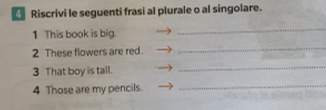 Riscrivi le seguenti frasi al plurale o al singolare. 
1 This book is big. 
_ 
2 These flowers are red. 
_ 
3 That boy is tall. 
_ 
4 Those are my pencils. 
_