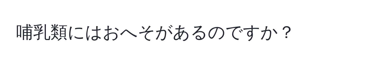 哺乳類にはおへそがあるのですか？