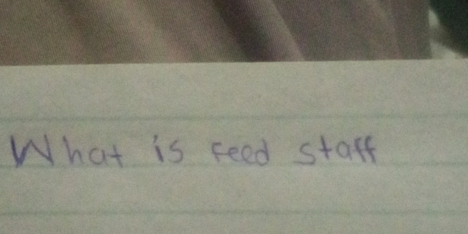 What is feed staff