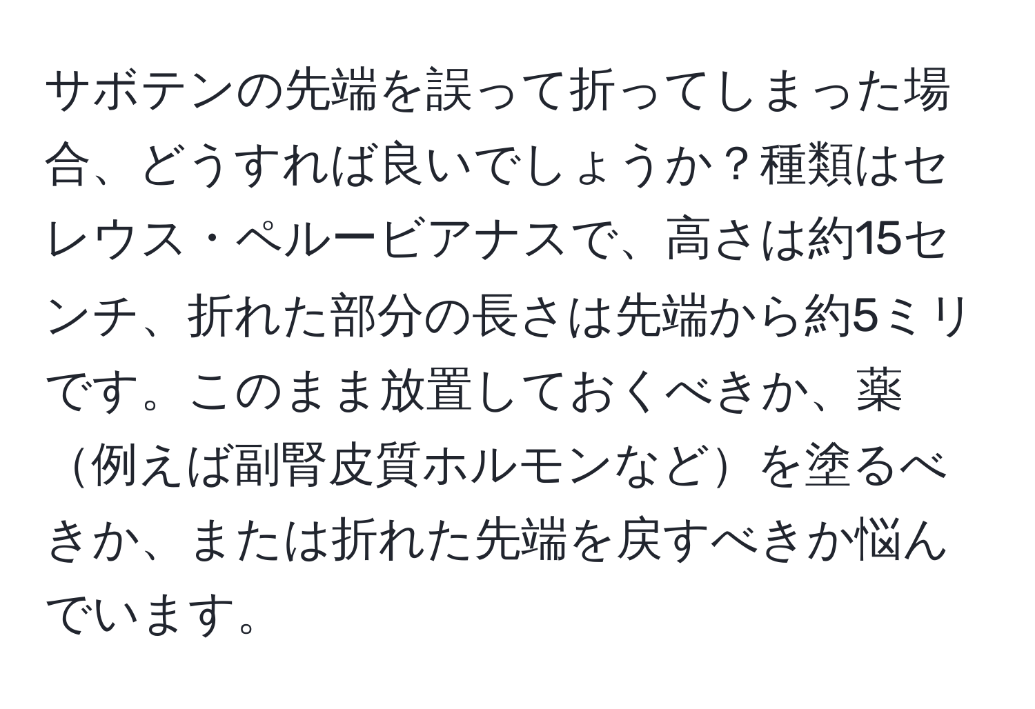 サボテンの先端を誤って折ってしまった場合、どうすれば良いでしょうか？種類はセレウス・ペルービアナスで、高さは約15センチ、折れた部分の長さは先端から約5ミリです。このまま放置しておくべきか、薬例えば副腎皮質ホルモンなどを塗るべきか、または折れた先端を戻すべきか悩んでいます。