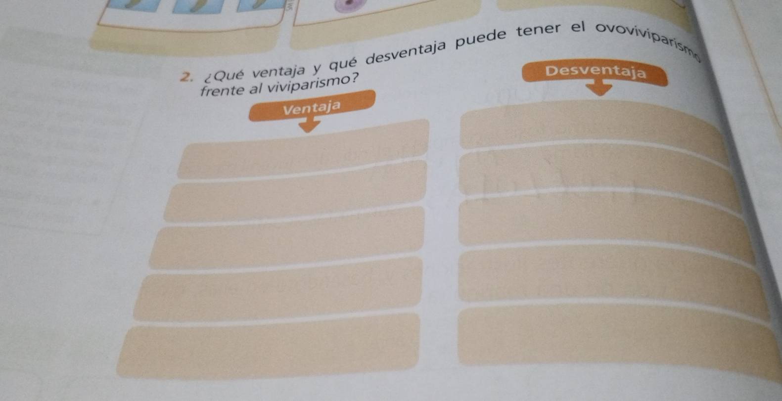 Resuelto:5 2. ¿Qué ventaja y qué desventaja puede tener el ovoviviparismo  frente al viviparismo? De