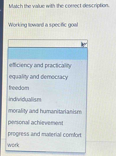 Match the value with the correct description.
Working toward a specific goal
efficiency and practicality
equality and democracy
freedom
individualism
morality and humanitarianism
personal achievement
progress and material comfort
work