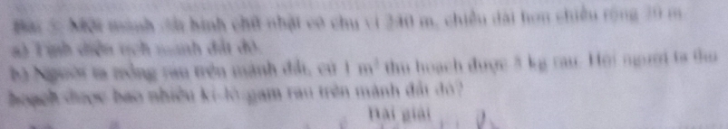 Mài 5 Mội mành đà hình chữ nhật có chu vi 240 m, chiều dài hơn chiều rộng 30 m
a) Tịnh diện tịch nanh đất đô. 
hà Người ta trồng rau trên mành đất, cử 1m^2 thu hoạch được 3 kg cau. Hội người ta đu 
hoạch được bao nhiều A(-h) Tam rau trên mành đải đo 
Nai giải