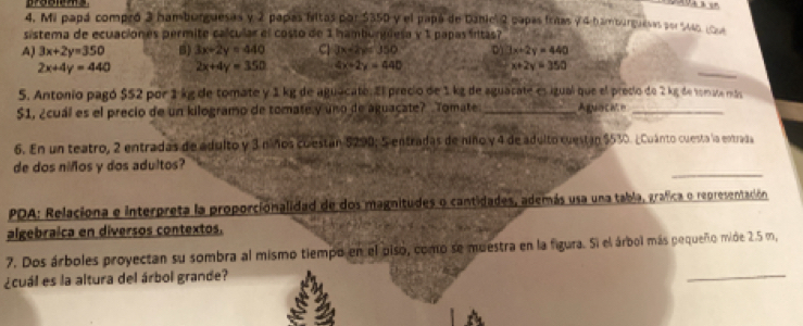 Mi papá compró 3 hamburguesas y 2 papas filtas por $350 y el papó de Danicl 2 capas frías y 4 hamburguesas por So (oa
sistema de ecuaciones permite calcular el costo de 1 hamburglesa y 1 papas frtas?
A) 3x+2y=350 B) 3x-2y=440 Cl 3x-2y= 350 D 3x+2y=440
_
2x+4y=440 2x+4y=350 4x+2y=440 x+2y=350
5. Antonio pagó $52 por 1 kg de tomate y 1 kg de aguacate. El precio de 1kg de aguacate es igual que el precio de 2 kg de tomua más
$1, ¿cuál es el precio de un kilogramo de tomate y uno de aguaçate? Tomate _Aguacate_
6. En un teatro, 2 entradas de adulto y 3 niños cuestán 5290; 5 entradas de niño y 4 de adulto cuestán $530. ¿Cuánto cuesta la entrada
_
de dos niños y dos adultos?
PDA: Relaciona e interpreta la proporcionalidad de dos magnitudes o cantidades, además usa una tabla, grafica o representación
algebraica en diversos contextos.
7. Dos árboles proyectan su sombra al mismo tiempo en el piso, como se muestra en la figura. Si el árbol más pequeño mide 2.5 m,
¿cuál es la altura del árbol grande?