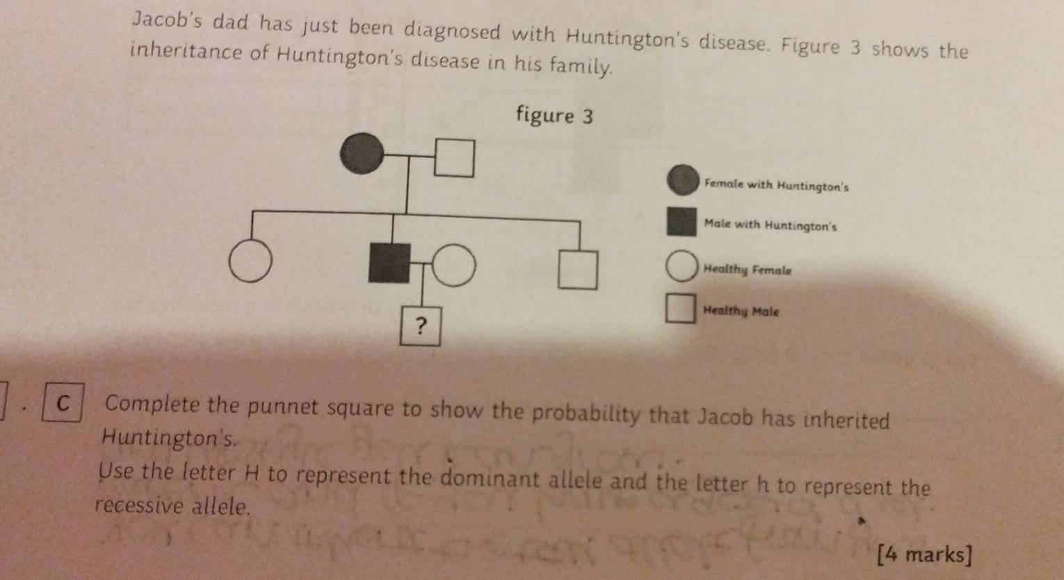 Jacob's dad has just been diagnosed with Huntington's disease. Figure 3 shows the 
inheritance of Huntington's disease in his family. 
figure 3 
Female with Huntington's 
Male with Huntington's 
Healthy Female 
Healthy Male 
C Complete the punnet square to show the probability that Jacob has inherited 
Huntington's. 
Use the letter H to represent the dominant allele and the letter h to represent the 
recessive allele. 
[4 marks]