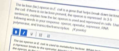 The lactose (lac) operon in E col is a gene that helps break down lactose 
the cell If there is no lactose present, the operon is repressed In 3-5
sentences, explain how the lac operon is used and reprossed in cells. Use 
following words in your response. operon, openstor, repressor, RNA 
polymerase, and transcribe/transcription (4 pointa) 
1 
The lac operon in E. coll is used to metabolize lactose. When ia 
a repressor binds to the operator, blast 
the operon. i t