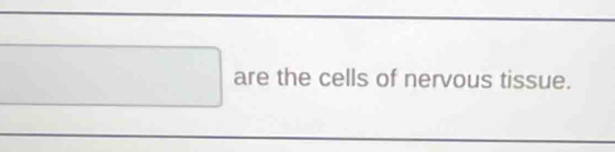 square are the cells of nervous tissue.