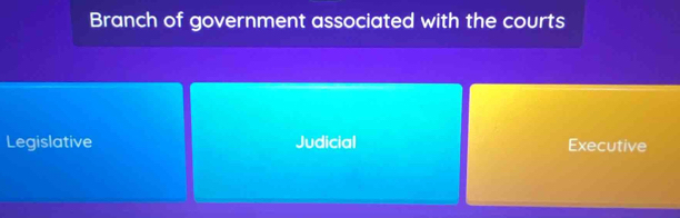 Branch of government associated with the courts
Legislative Judicial Executive