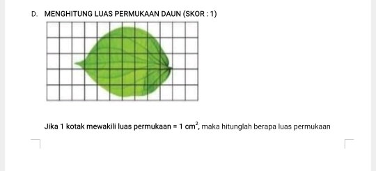 MENGHITUNG LUAS PERMUKAAN DAUN (SKOR : 1) 
Jika 1 kotak mewakili luas permukaan =1cm^2 , maka hitunglah berapa luas permukaan