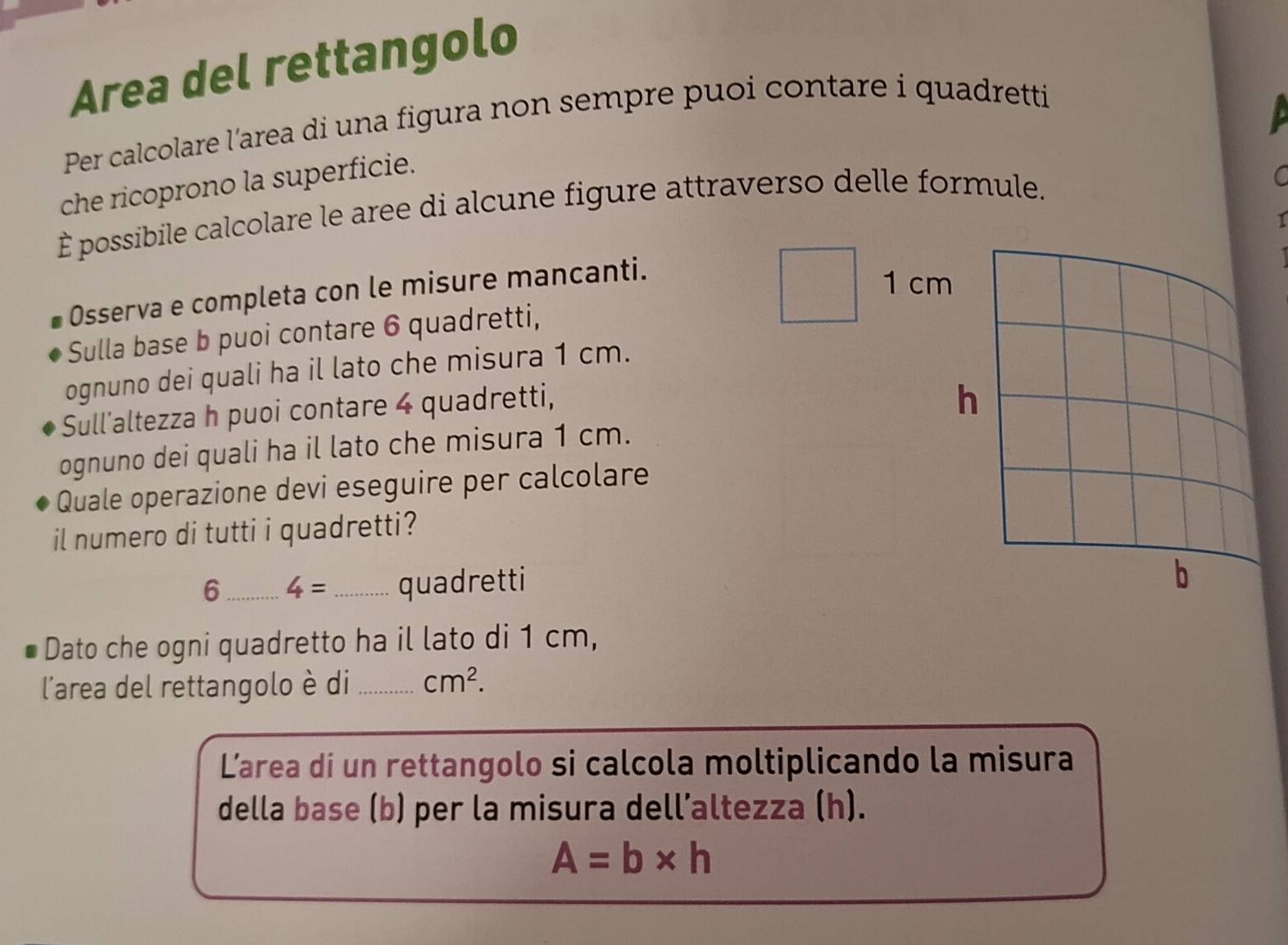 Risolto:Area del rettangolo Per calcolare l'area di una figura non ...