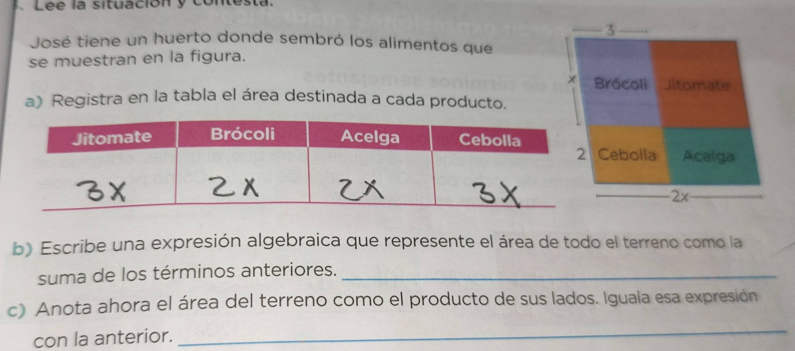 Lee la situación y contesta 
José tiene un huerto donde sembró los alimentos que 
se muestran en la figura. 
a) Registra en la tabla el área destinada a cada producto. 
b) Escribe una expresión algebraica que represente el área de todo el terreno como la 
suma de los términos anteriores._ 
c) Anota ahora el área del terreno como el producto de sus lados. Iguala esa expresión 
con la anterior. 
_