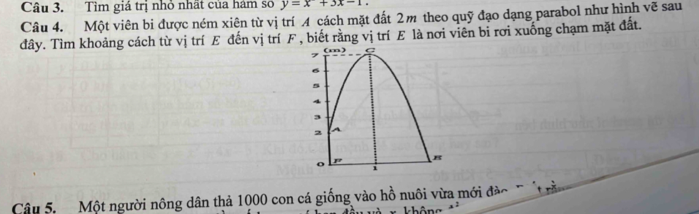 Tìm giá trị nhỏ nhất của hám so y=x+3x-1. 
Câu 4. Một viên bi được ném xiên từ vị trí A cách mặt đất 2m theo quỹ đạo dạng parabol như hình vẽ sau 
đây. Tìm khoảng cách từ vị trí E đến vị trí F , biết rằng vị trí E là nơi viên bỉ rơi xuống chạm mặt đất. 
Câu 5. Một người nông dân thả 1000 con cá giống vào hồ nuôi vừa mới đào