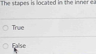 The stapes is located in the inner ea
True
False