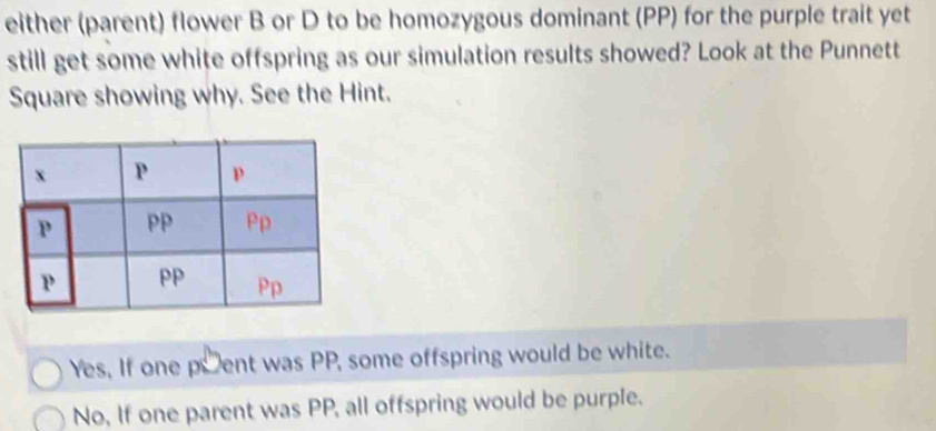 either (parent) flower B or D to be homozygous dominant (PP) for the purple trait yet
still get some white offspring as our simulation results showed? Look at the Punnett
Square showing why. See the Hint.
Yes, If one poent was PP, some offspring would be white.
。
No, If one parent was PP, all offspring would be purple.