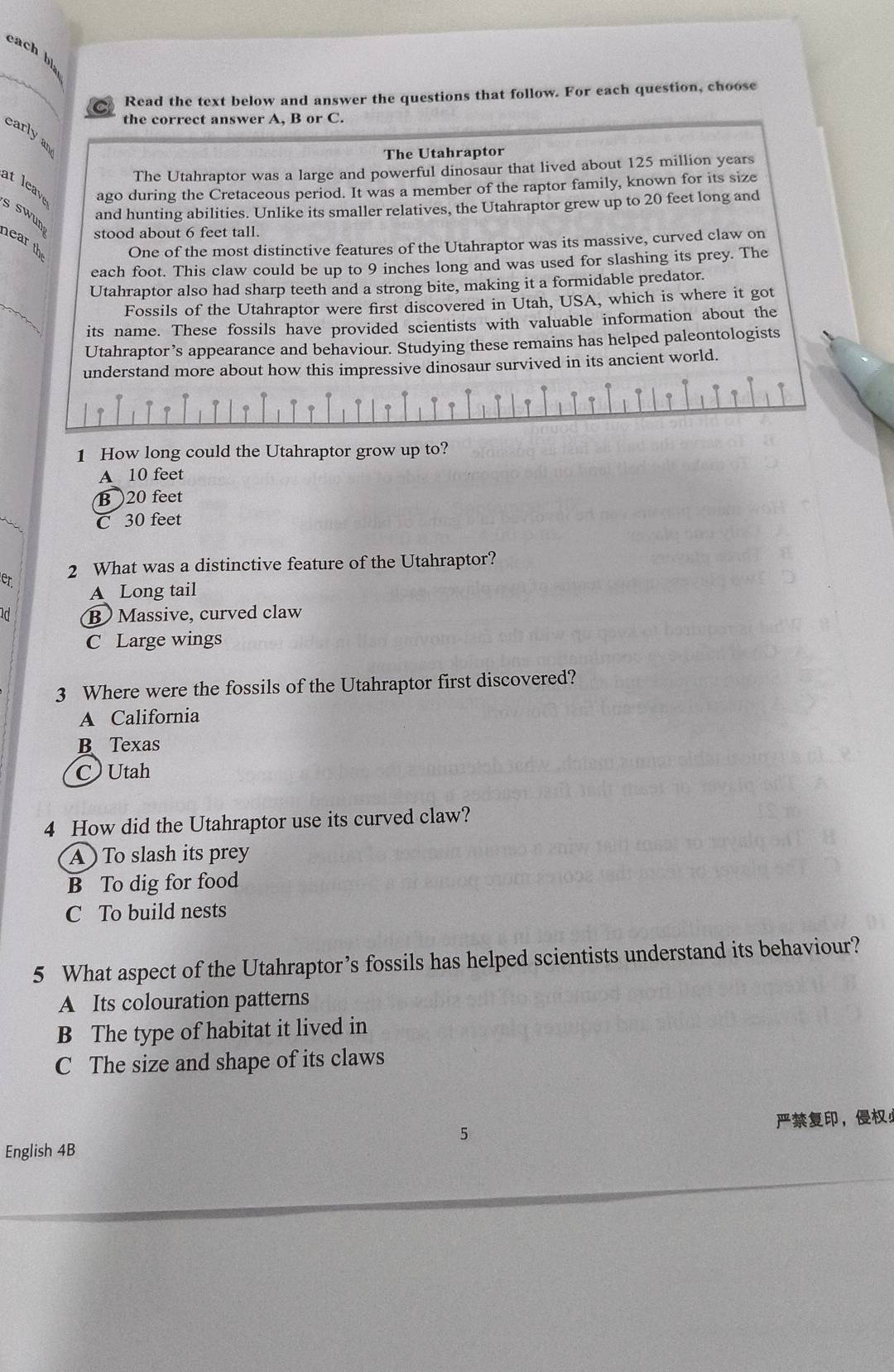 each bl
Read the text below and answer the questions that follow. For each question, choose
the correct answer A, B or C.
early an
The Utahraptor
The Utahraptor was a large and powerful dinosaur that lived about 125 million years
ago during the Cretaceous period. It was a member of the raptor family, known for its size
at leave s swun
and hunting abilities. Unlike its smaller relatives, the Utahraptor grew up to 20 feet long and
stood about 6 feet tall.
hear th One of the most distinctive features of the Utahraptor was its massive, curved claw on
each foot. This claw could be up to 9 inches long and was used for slashing its prey. The
_
Utahraptor also had sharp teeth and a strong bite, making it a formidable predator.
Fossils of the Utahraptor were first discovered in Utah, USA, which is where it got
its name. These fossils have provided scientists with valuable information about the
Utahraptor’s appearance and behaviour. Studying these remains has helped paleontologists
understand more about how this impressive dinosaur survived in its ancient world.
1
I
|
1 1
1 How long could the Utahraptor grow up to?
A 10 feet
B ) 20 feet
C 30 feet
2 What was a distinctive feature of the Utahraptor?
er
A Long tail
ad B) Massive, curved claw
C Large wings
3 Where were the fossils of the Utahraptor first discovered?
A California
BTexas
C Utah
4 How did the Utahraptor use its curved claw?
A) To slash its prey
B To dig for food
C To build nests
5 What aspect of the Utahraptor’s fossils has helped scientists understand its behaviour?
A Its colouration patterns
B The type of habitat it lived in
C The size and shape of its claws
，
English 4B