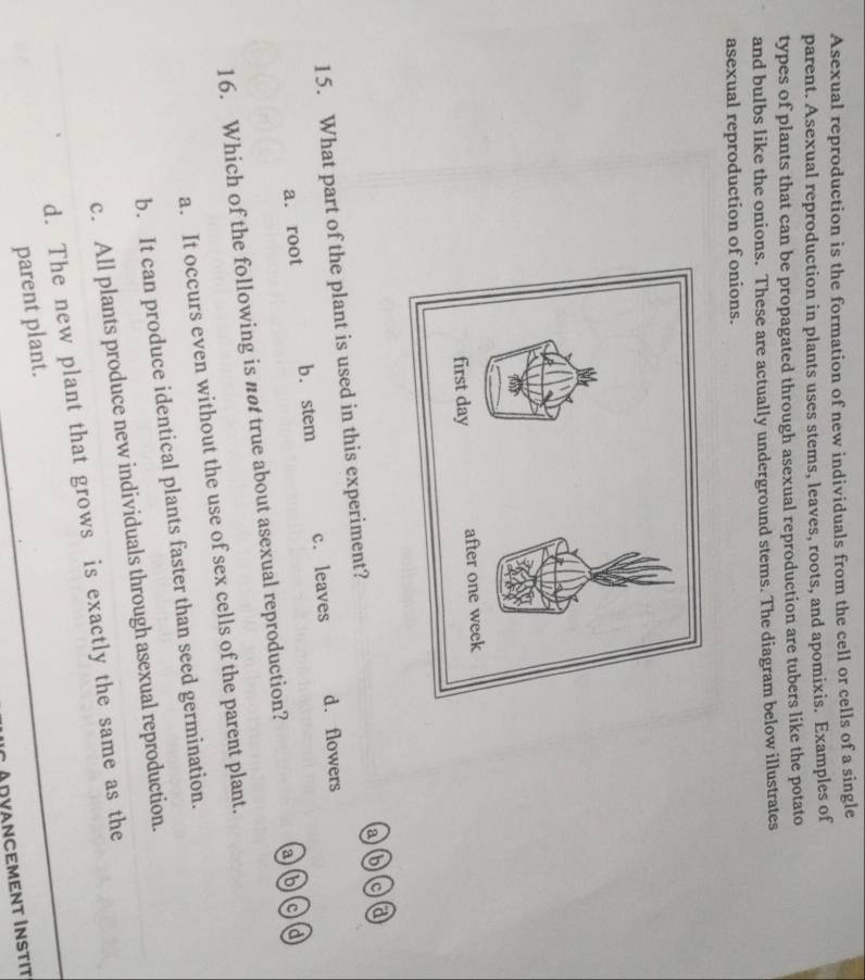 Asexual reproduction is the formation of new individuals from the cell or cells of a single
parent. Asexual reproduction in plants uses stems, leaves, roots, and apomixis. Examples of
types of plants that can be propagated through asexual reproduction are tubers like the potato
and bulbs like the onions. These are actually underground stems. The diagram below illustrates
asexual reproduction of onions.
ab a a
15. What part of the plant is used in this experiment?
a. root b. stem c. leaves d. flowers
abd
16. Which of the following is not true about asexual reproduction? a
a. It occurs even without the use of sex cells of the parent plant.
b. It can produce identical plants faster than seed germination.
c. All plants produce new individuals through asexual reproduction.
d. The new plant that grows is exactly the same as the
parent plant.
C Adyancement İnstit