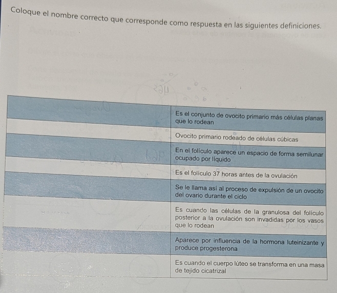 Coloque el nombre correcto que corresponde como respuesta en las siguientes definiciones.