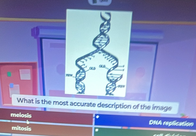 JRW
What is the most accurate description of the image
meiosis
DNA replication
mitosis