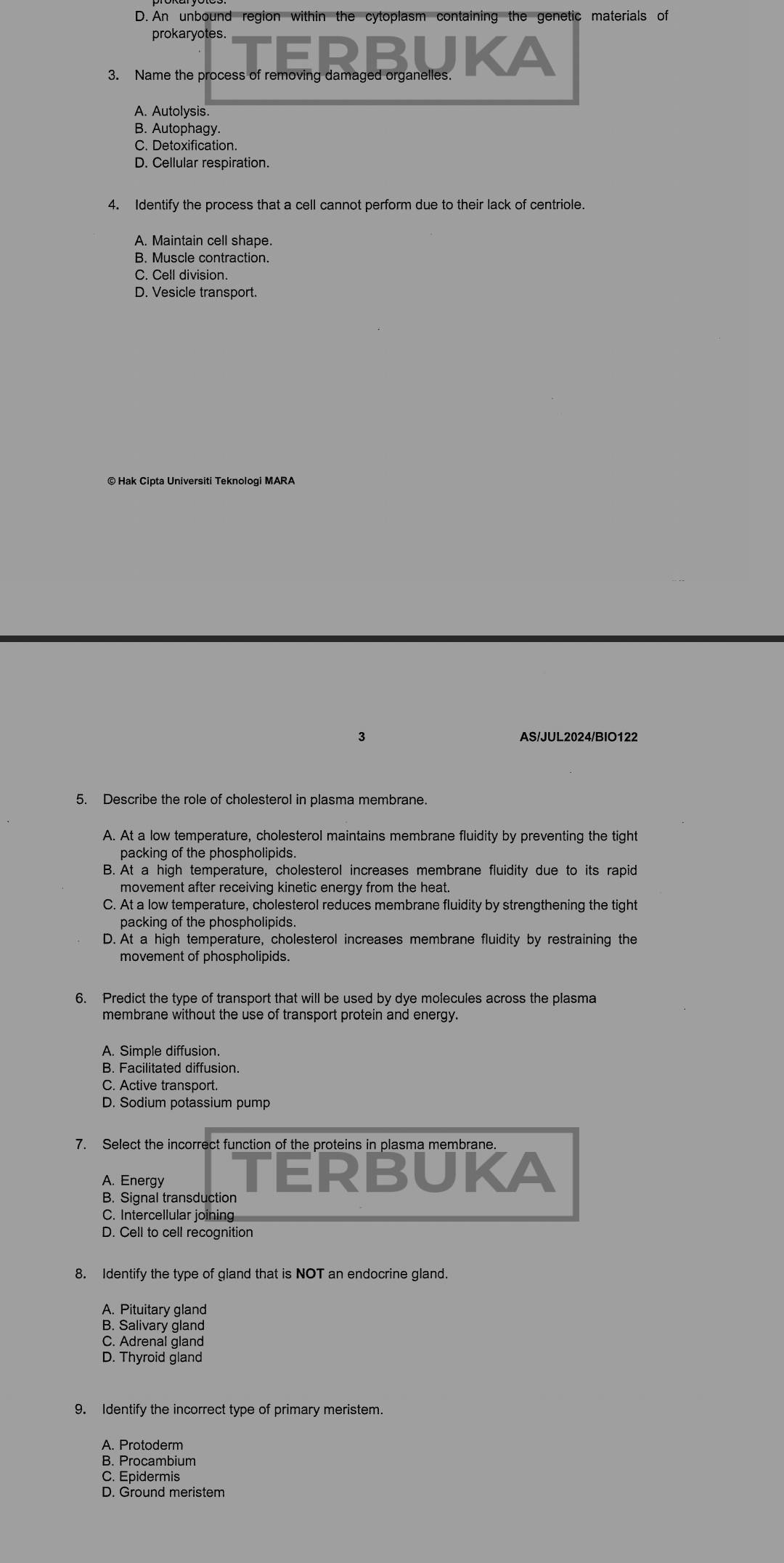 D. An unbound region within the cytoplasm containing the genetic materials of
prokaryotes.
3. Name the process of removing damaged organelles KA
A. Autolysis.
B. Autophagy.
C. Detoxification.
D. Cellular respiration.
4. Identify the process that a cell cannot perform due to their lack of centriole.
A. Maintain cell shape.
B. Muscle contraction.
C. Cell division.
D. Vesicle transport.
© Hak Cipta Universiti Teknologi MARA
5. Describe the role of cholesterol in plasma membrane.
A. At a low temperature, cholesterol maintains membrane fluidity by preventing the tight
packing of the phospholipids.
B. At a high temperature, cholesterol increases membrane fluidity due to its rapid
movement after receiving kinetic energy from the heat.
C. At a low temperature, cholesterol reduces membrane fluidity by strengthening the tight
packing of the phospholipids.
D. At a high temperature, cholesterol increases membrane fluidity by restraining the
movement of phospholipids.
6. Predict the type of transport that will be used by dye molecules across the plasma
membrane without the use of transport protein and energy.
A. Simple diffusion.
B. Facilitated diffusion.
C. Active transport.
D. Sodium potassium pump
7. Select the incorrect function of the proteins in plasma membrane.
A. Energy TERBUKA
B. Signal transduction
C. Intercellular joining
D. Cell to cell recognition
8. Identify the type of gland that is NOT an endocrine gland.
A. Pituitary gland
B. Salivary gland
C. Adrenal gland
D. Thyroid gland
9. Identify the incorrect type of primary meristem.
A. Protoderm
B. Procambium
C. Epidermis
D. Ground meristem