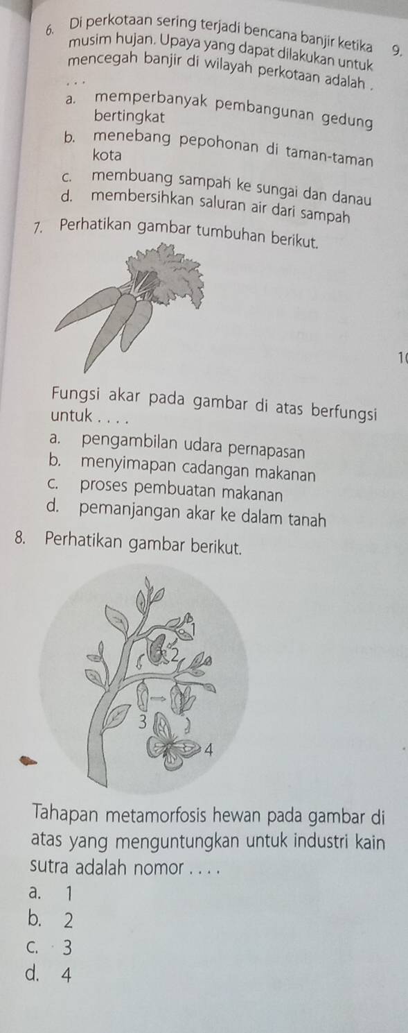 Di perkotaan sering terjadi bencana banjir ketika 9.
musim hujan. Upaya yang dapat dilakukan untuk
mencegah banjir di wilayah perkotaan adalah .
a. memperbanyak pembangunan gedung
bertingkat
b. menebang pepohonan di taman-taman
kota
c. membuang sampah ke sungai dan danau
d. membersihkan saluran air dari sampah
7. Perhatikan gambar tumbuhan berikut.
1(
Fungsi akar pada gambar di atas berfungsi
untuk . . . .
a. pengambilan udara pernapasan
b. menyimapan cadangan makanan
c. proses pembuatan makanan
d. pemanjangan akar ke dalam tanah
8. Perhatikan gambar berikut.
Tahapan metamorfosis hewan pada gambar di
atas yang menguntungkan untuk industri kain
sutra adalah nomor . . . .
a. 1
b. 2
C. 3
d. 4