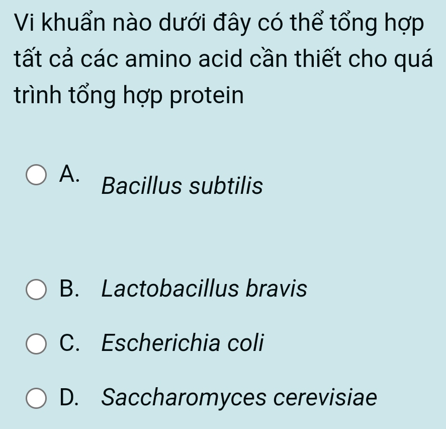 Vi khuẩn nào dưới đây có thể tổng hợp
tất cả các amino acid cần thiết cho quá
trình tổng hợp protein
A. Bacillus subtilis
B. Lactobacillus bravis
C. Escherichia coli
D. Saccharomyces cerevisiae