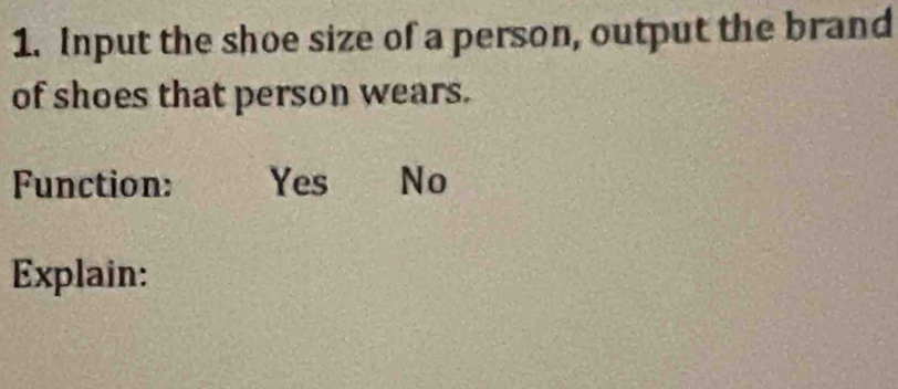 Input the shoe size of a person, output the brand
of shoes that person wears.
Function: Yes No
Explain: