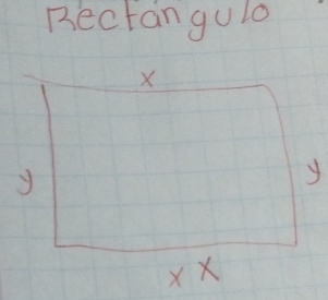 Bectangulo
X
y
y
X