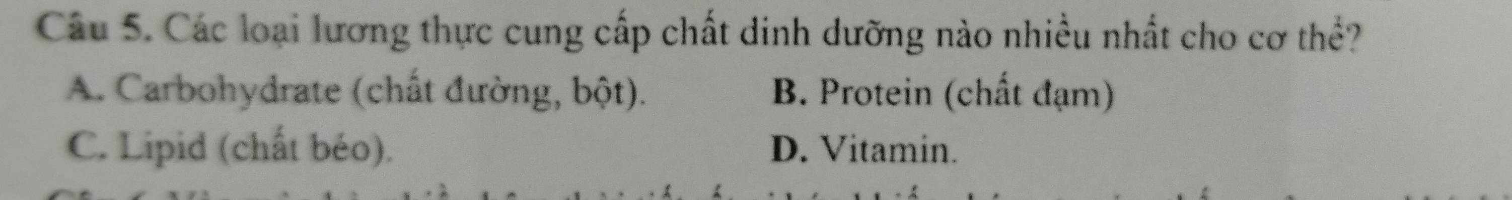 Các loại lương thực cung cấp chất dinh dưỡng nào nhiều nhất cho cơ thể?
A. Carbohydrate (chất đường, bột). B. Protein (chất đạm)
C. Lipid (chất béo). D. Vitamin.