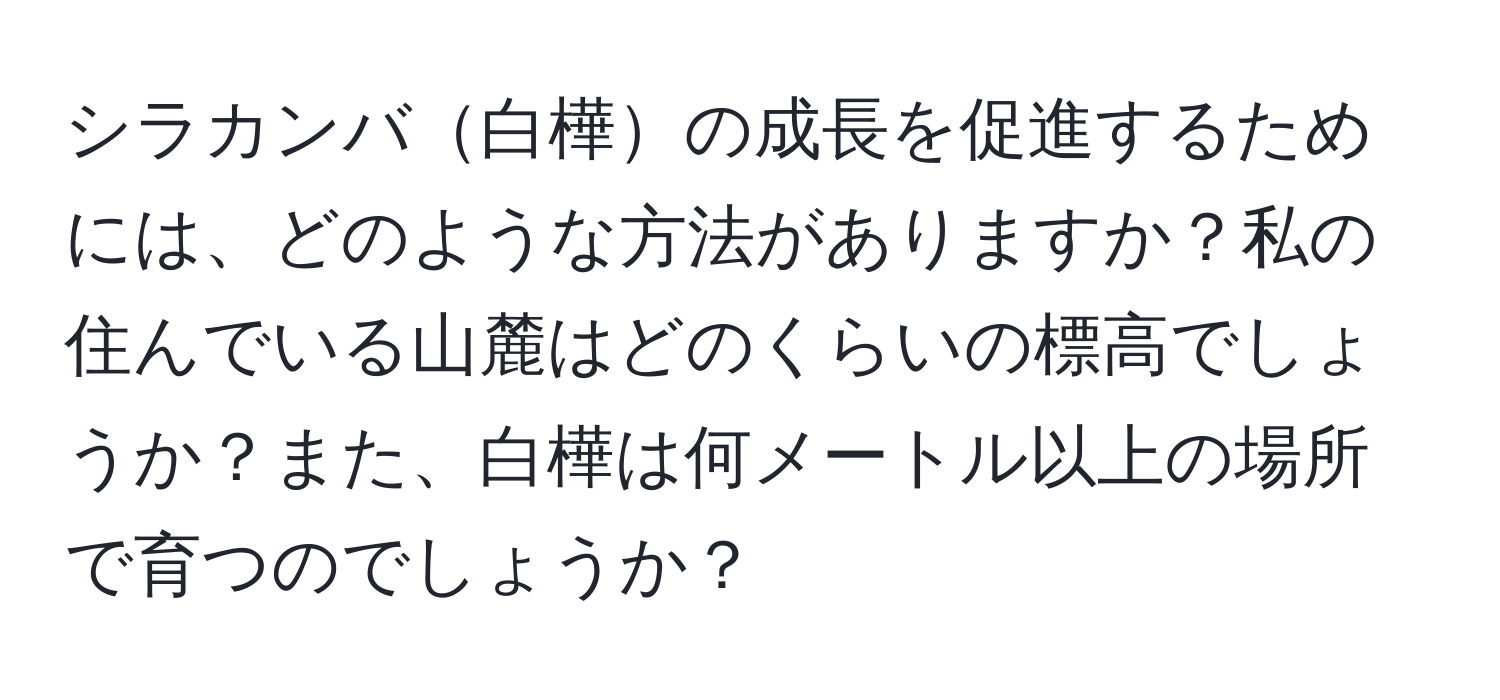 シラカンバ白樺の成長を促進するためには、どのような方法がありますか？私の住んでいる山麓はどのくらいの標高でしょうか？また、白樺は何メートル以上の場所で育つのでしょうか？